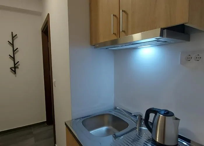 Stan Na Dan - Mrparis - Sa Parking Mestom 公寓 克拉古耶瓦茨